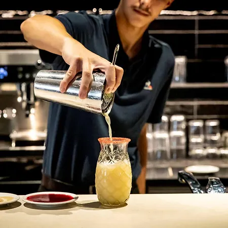 酒店 诺沃特宝纳酒店 博讷