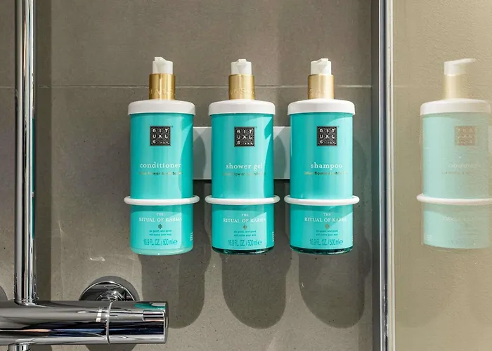 诺沃特宝纳酒店 酒店 博讷